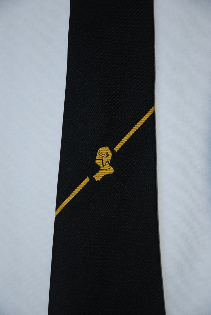 Photograph of Old Instonians Tie