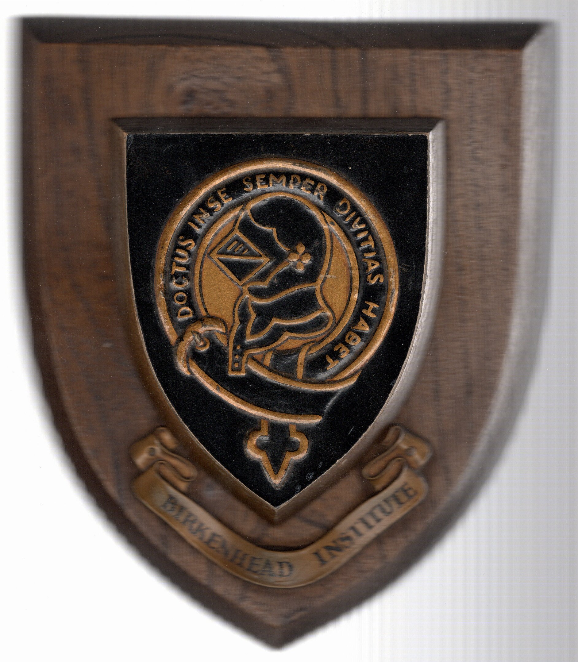 Photograph of Wooden School Shield
