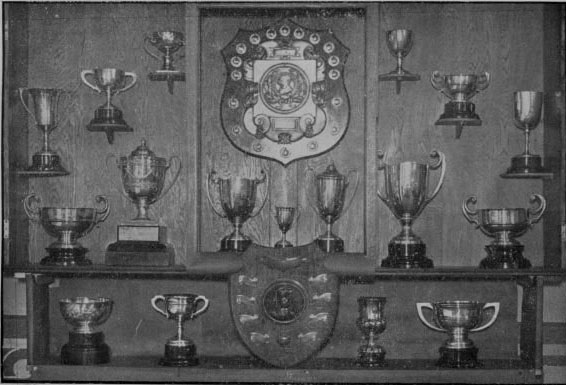 School Trophy Cabinet